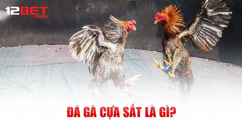 Giới thiệu về đá gà cựựa sắt